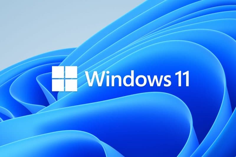 Windows 11 IoT Licence (pre-installed on terminal), Windows 11 IoT